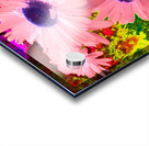 Abstract  Striking Daisy Flowers Acrylic print