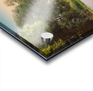 Gruene & Beyond Acrylic print