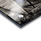 Texas True Acrylic print