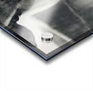 Rustic Elegance Acrylic print