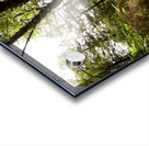 Sunlight on the Path in the Scottish Highlands Acrylic print