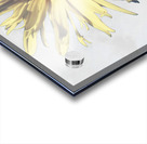 Abstract Calming Daisy Flower Acrylic print