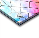 Through The Fence Acrylic print