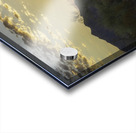 Sonoran Dawn Acrylic print