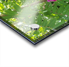 received 1064473248622939 Acrylic print