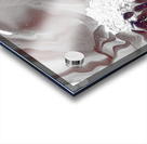 Abstract White and Grey Flowing Daisy Flower  Acrylic print