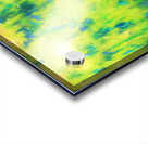 Bunny beneath the Willow Tree Acrylic print