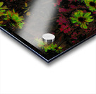 Abstract Surreal Daisy Garden Acrylic print