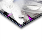 Abstract Daisy Blue Light Acrylic print