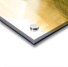 Beautiful sunrise in rural landscape with sun rays shining through the morning fog  Acrylic print