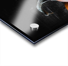 Pumpkin Patch Acrylic print