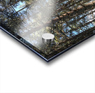 Autumnal Nature Walk through the Scottish Highlands  Acrylic print