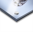 Barn owls Acrylic print