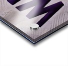 Wild Cats Acrylic print