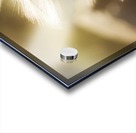 Ethereal Grass Acrylic print