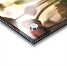 Fairy Garden Acrylic print