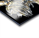 horse portrait 1 Acrylic print