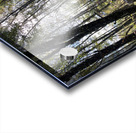 Autumnal Forest View in the Scottish Highlands Acrylic print