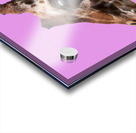 PinkGiraffe Acrylic print