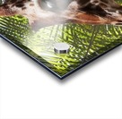 Giraffe with Palms Acrylic print