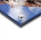 Giraffe & Sky Acrylic print