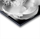 Classic White Peony Black And White Acrylic print