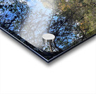 Reflections of  Autumn in the Scottish Highlands Acrylic print