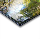 Scottish Highlands Autumn Walk Acrylic print