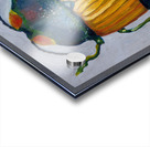 Beetle Acrylic print