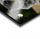 Z72 3543 Acrylic print