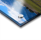 DSC 0605 Acrylic print