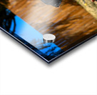 Z72 2981 Acrylic print