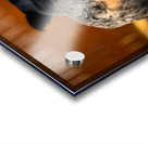 Z72 2939 Acrylic print