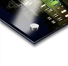 IMG 7526 Acrylic print