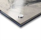 IMG 3609 Acrylic print