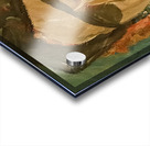 20241012 163657 Pirate Queen Acrylic print