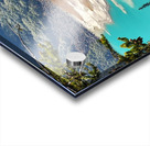 Lake Louise and Larch Trees  Acrylic print