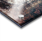 Long Road Home Acrylic print