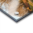 Lynchburg Old City Cemetery Wall Acrylic print