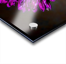 Dramatic Purple Acrylic print