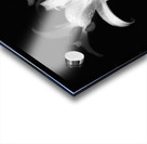 Lily Flower in the Darkness Acrylic print