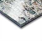 San Francisco California5 Acrylic print