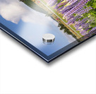 Lupins and Church of the Good Shepherd Tekapo New Zealand Acrylic print