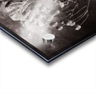 Fall Remembers Acrylic print