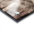 Cathedral Acrylic print