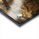 Blue Ridge Parkway on my Mind in Autumn Acrylic print