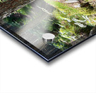 Scenes from the Trail - Sunlight Forest Trail  Acrylic print