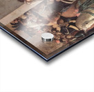 Adoration of Christ by the Magi Acrylic print