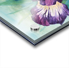 Pop of purple 17.25x23.5 Acrylic print