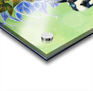 Shared Nectar 12x16  Acrylic print